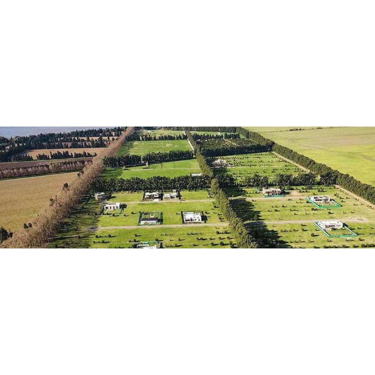 Azahares del Paraná 3