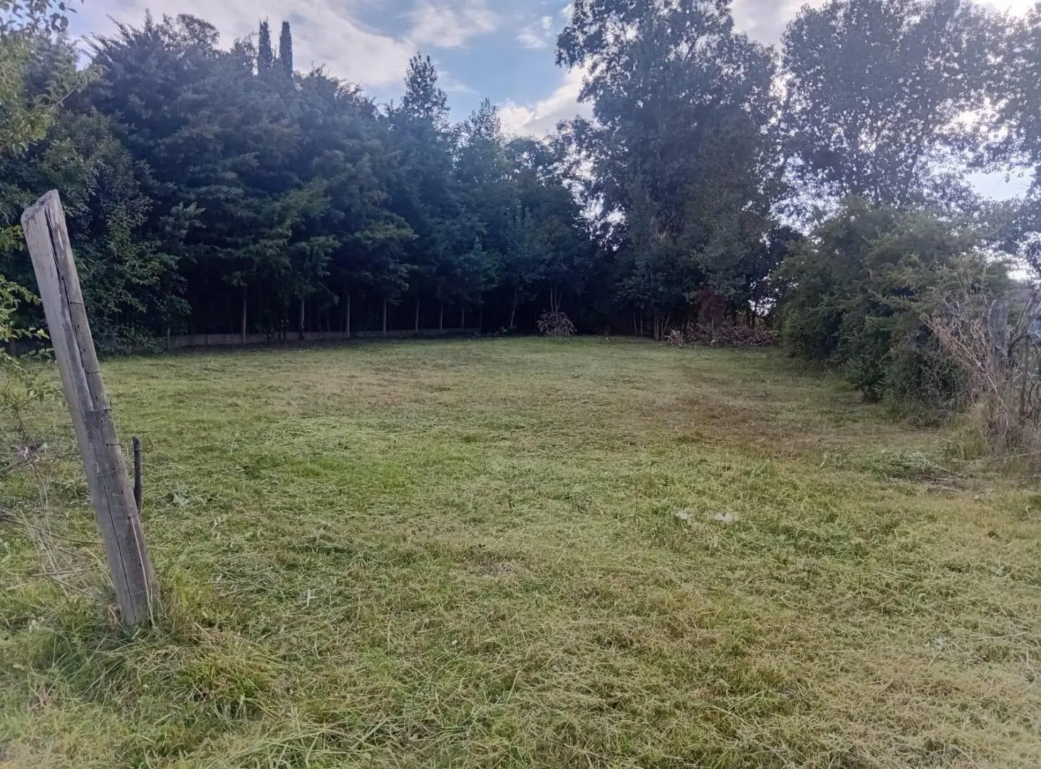 Terreno en Los Pinos 4