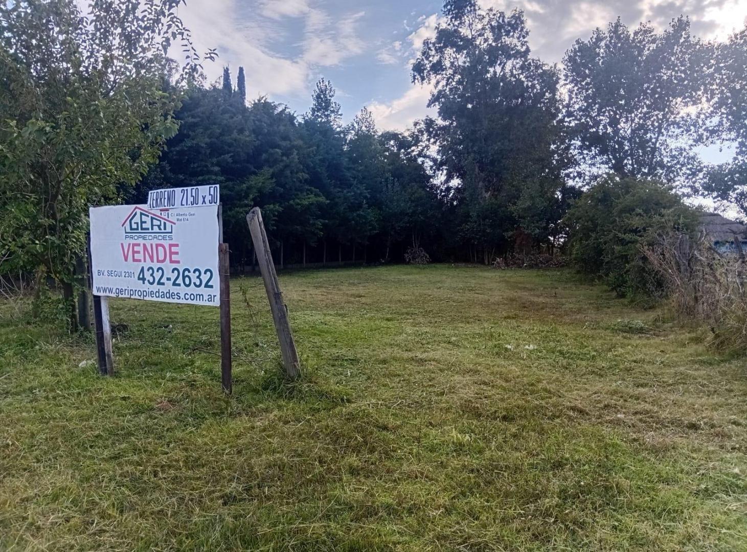 Foto de Terreno en Los Pinos, imagen 1