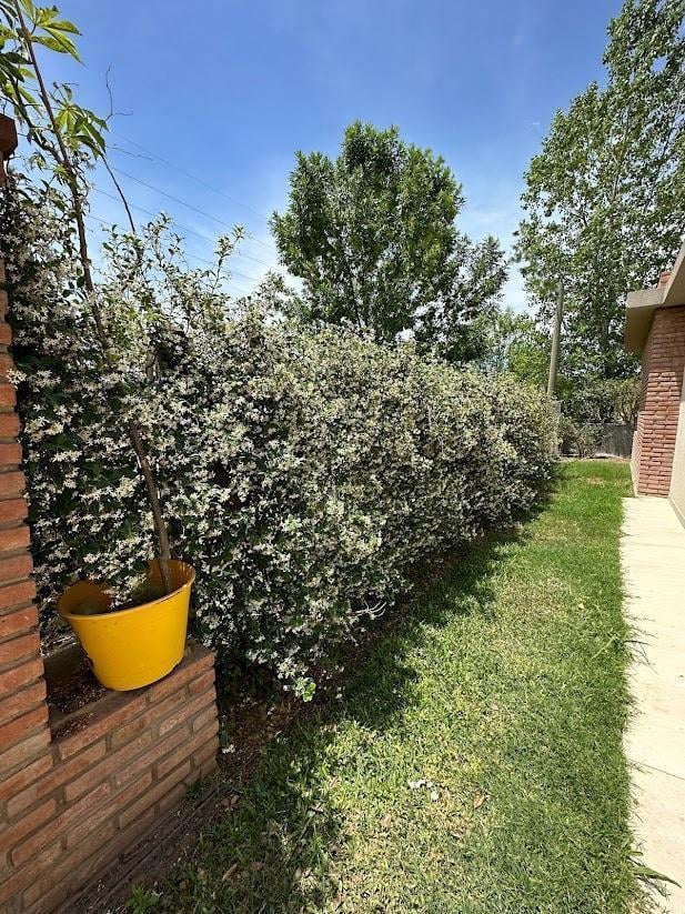 CASA VENTA MODERNA LUMINOSA DOS DORMITORIOS JARDIN PISCINA BARRIO LAS TARDES ROLDAN