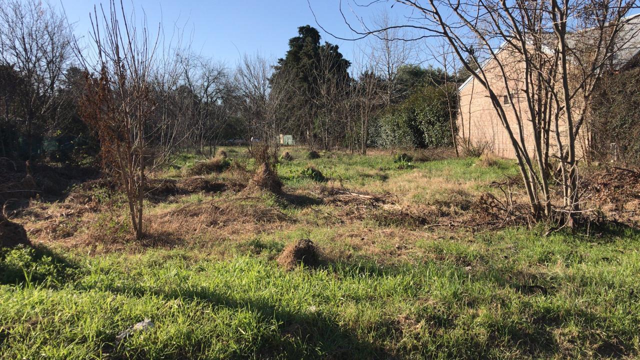 Terreno en Venta en San Eduardo , 1032 m2 , orientado Sur