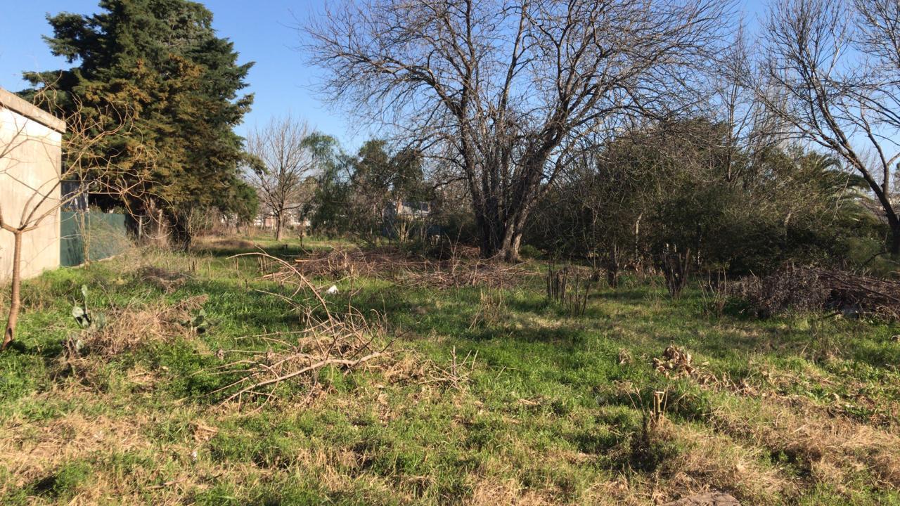 Terreno en Venta , San Eduardo 1.032 m2