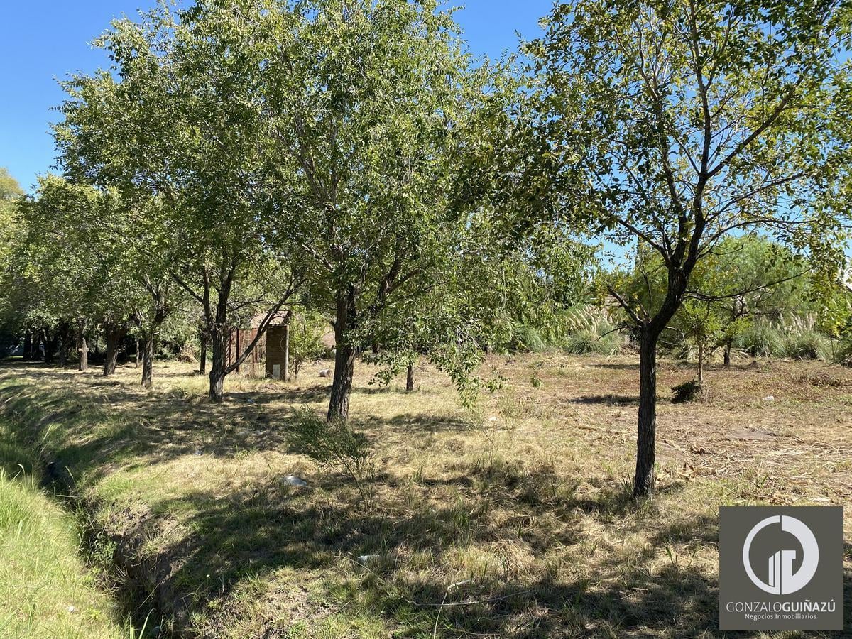Foto de Terreno de 2021 m2 en venta San Eduardo Aldea Fisherton, imagen 4