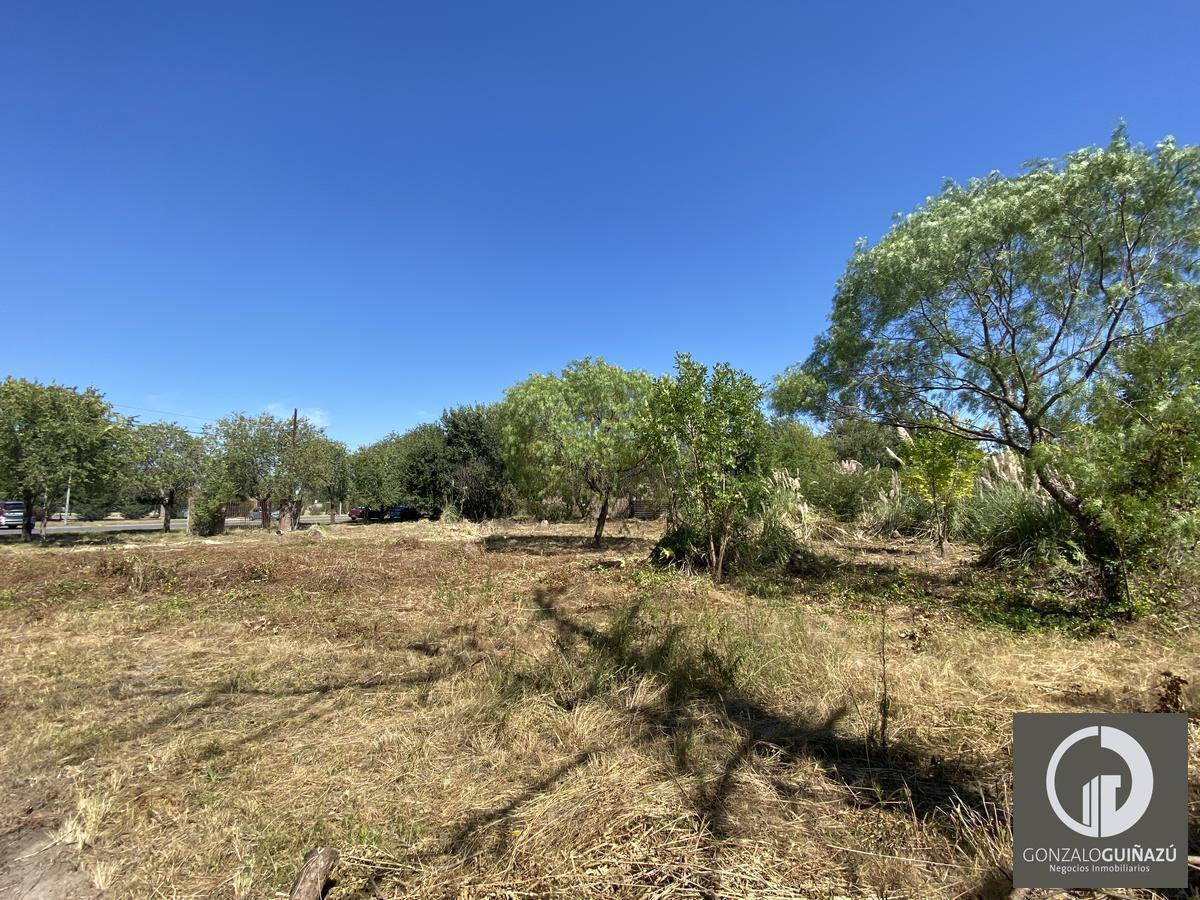 Foto de Terreno de 1010 m2 en venta San Eduardo Aldea Fisherton, imagen 5