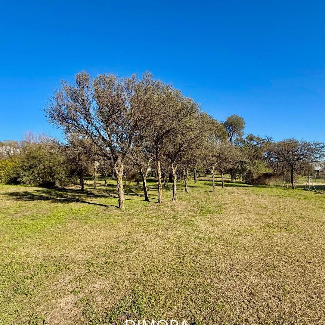 Foto de EXCLUSIVO LOTE EN VENTA | COUNTRY VALLE DEL GOLF | 1.500 M² | SOBRE, imagen 5