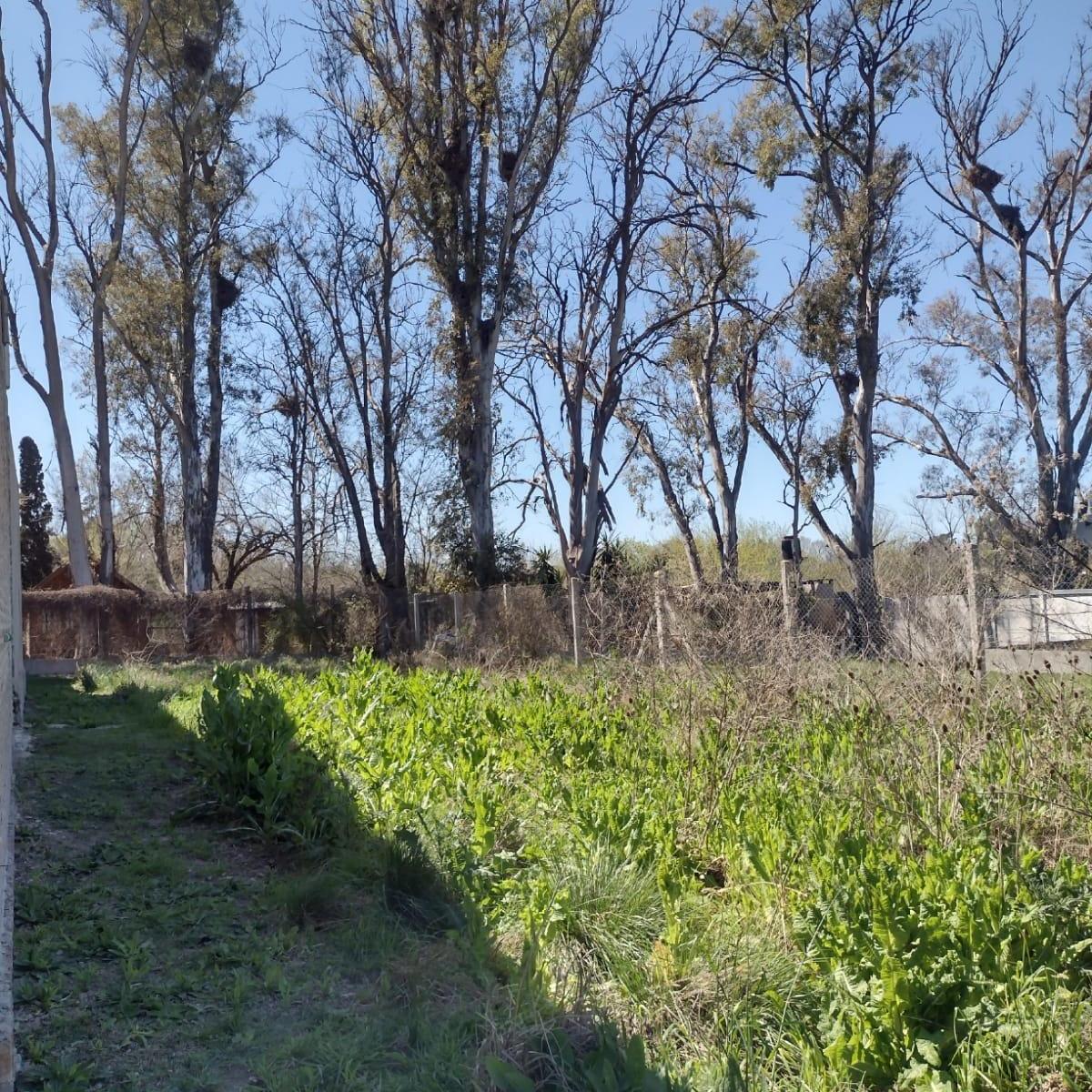 El Payador entre Rio y Ruta 26 - 300 m2