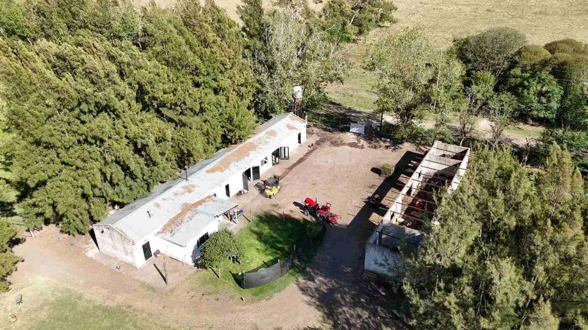 VENTA- 11 HECTAREAS-FONDO DE COMERCIO-HERMOSA CASA 5