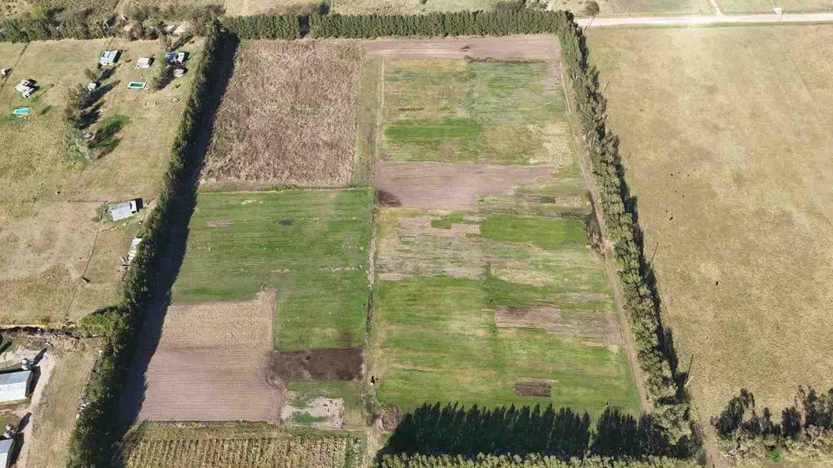 VENTA- 11 HECTAREAS-FONDO DE COMERCIO-HERMOSA CASA 2