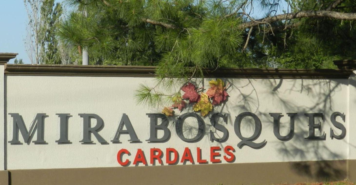 LOTE VENTA MIRABOSQUES CARDALES 1153M2 - FINANCIA