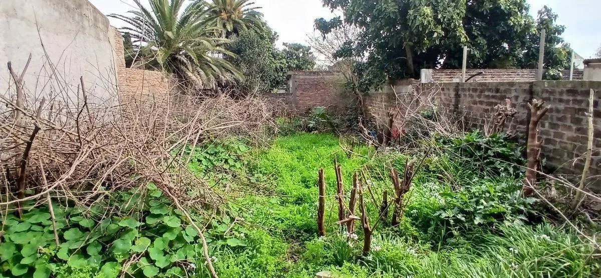 Casa 3 amb Venta Berazategui gran terreno 10x53 3