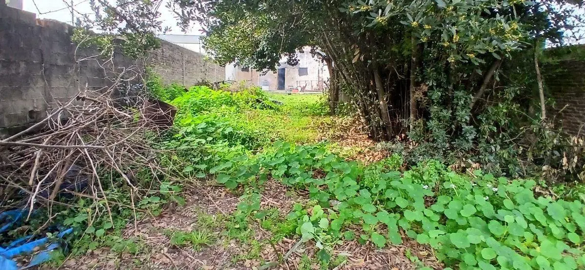 Casa 3 amb Venta Berazategui gran terreno 10x53 4