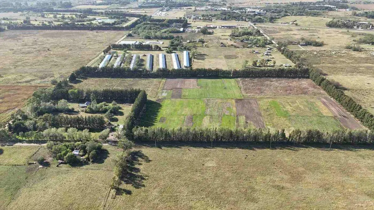 VENTA- 11 HECTAREAS-FONDO DE COMERCIO-HERMOSA CASA 3