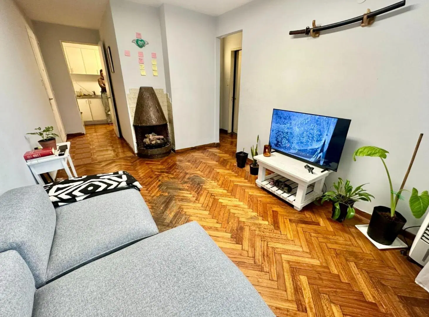 VENTA DPTO 3 amb PQUE CHACABUCO PATIO 2