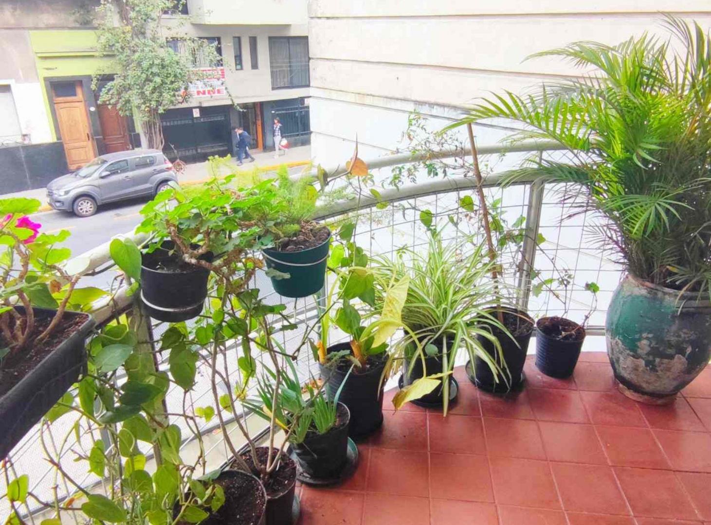 Foto de VENTA DEPARTAMENTO 2 AMBIENTES BALCON SAN TELMO, imagen 1