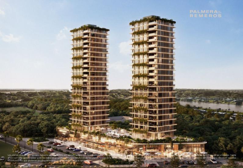 Foto de PALMERA REMEROS, imagen 5