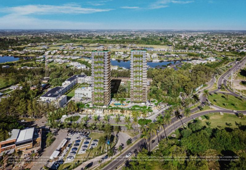 Foto de PALMERA REMEROS, imagen 1