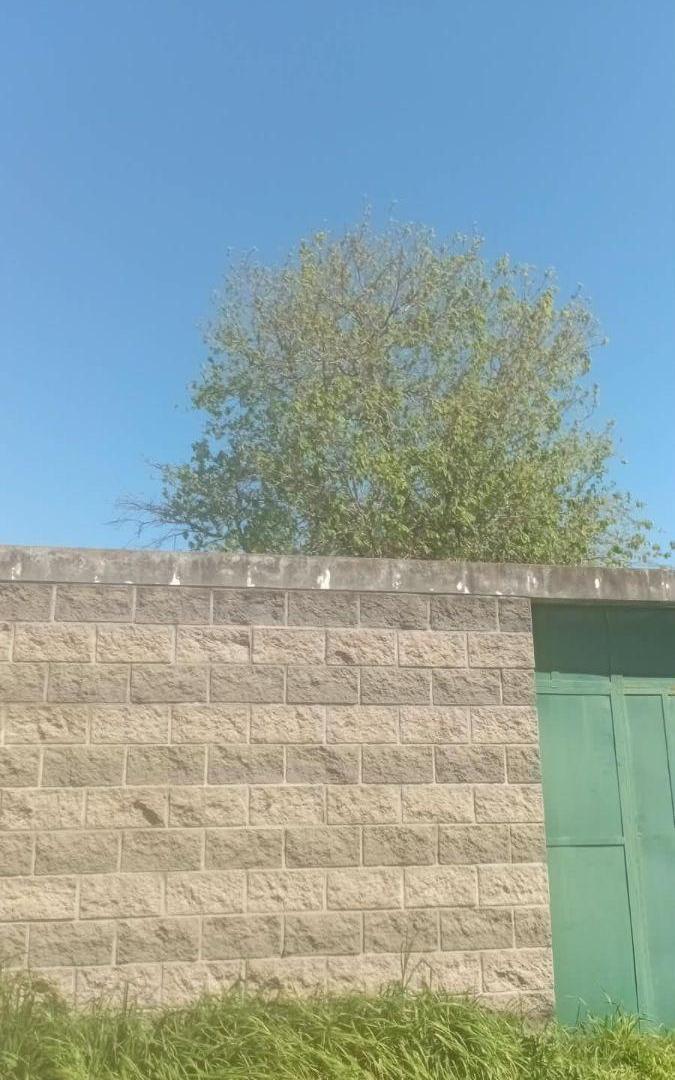 Foto de Lote de 660m2 con casa estilo colonial a reciclar, imagen 4