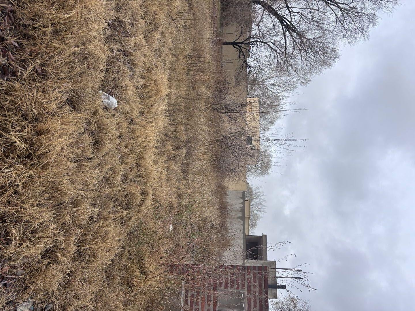 Foto de Lote en venta Plottier, Neuquen, imagen 3