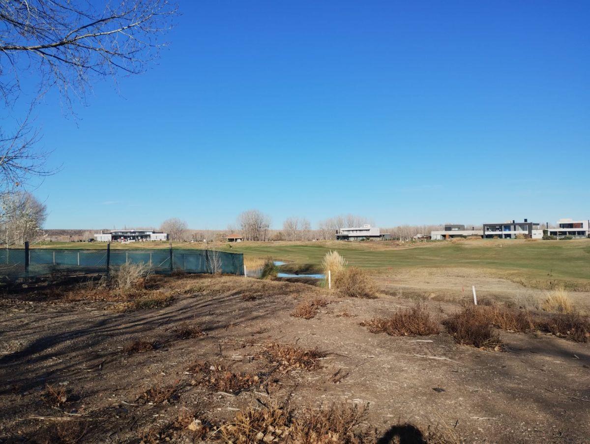 Foto de VENTA LOTE, imagen 4