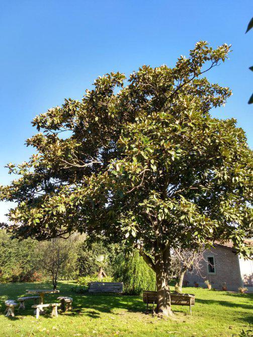 Quinta - Coronel Brandsen 3