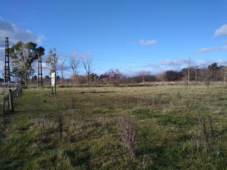 Fracción de 11556 m2. Sobre RP29. Gral Belgrano. Bs. As.