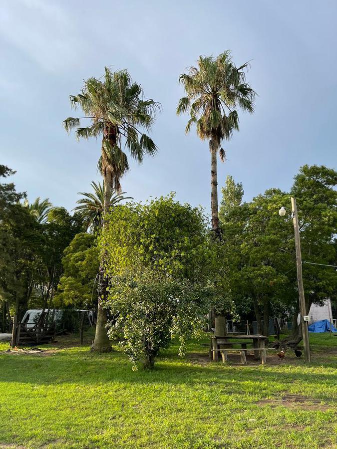 Ver Galería Disponible Gran Casaquinta en Venta. a 400 m Senador Rey. Ranchos 5