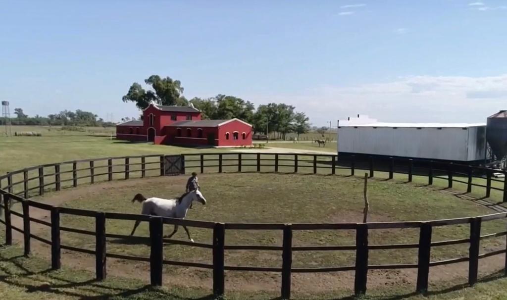 Campo (Haras) 27ha Brandsen, Buenos Aires. 3