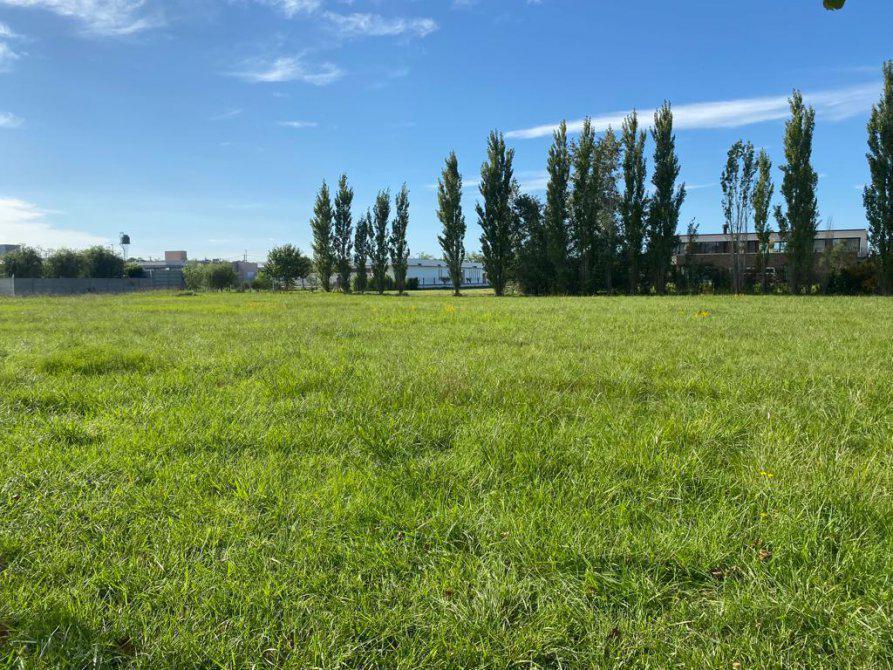 Lote en Venta. Barrio " El Chañar II ". Partido de Brandsen. Bs. As 2