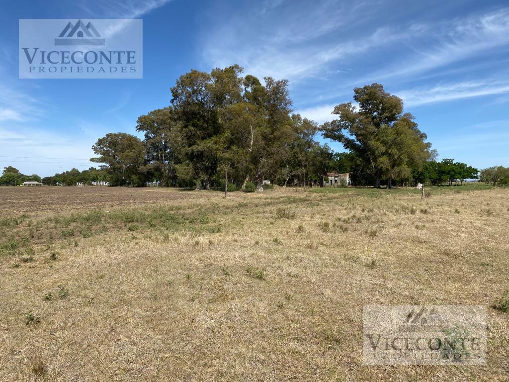Campo - Coronel Brandsen 2