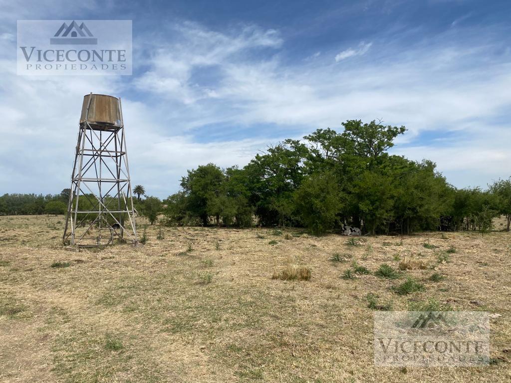 Campo - Coronel Brandsen 4