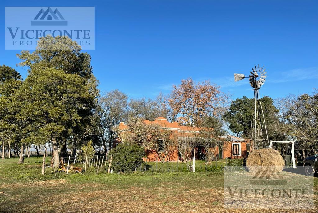 Campo 67 Ha Ranchos, General Paz. Buenos Aires. 2