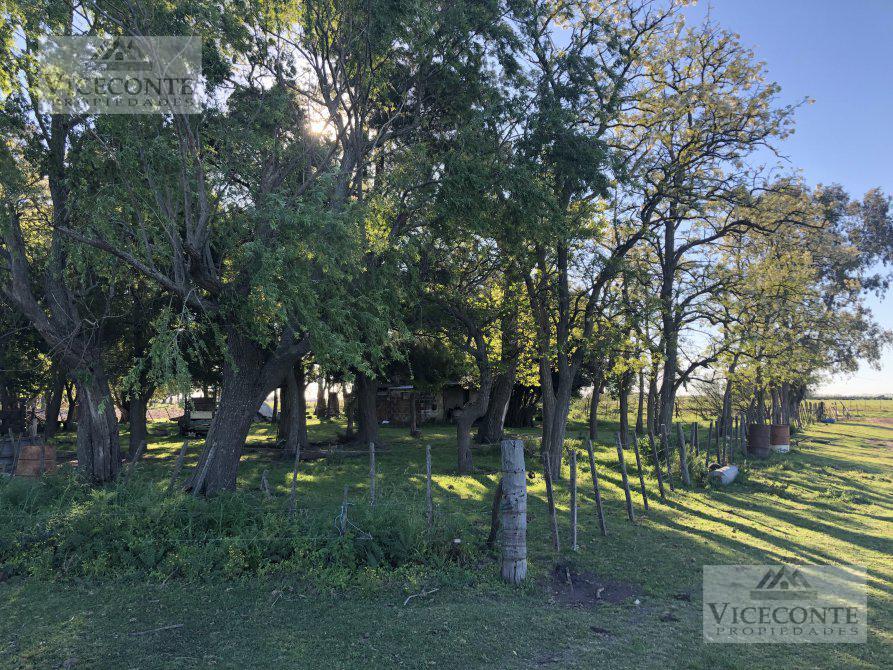Campo 14 Has General Belgrano, Buenos Aires. 3
