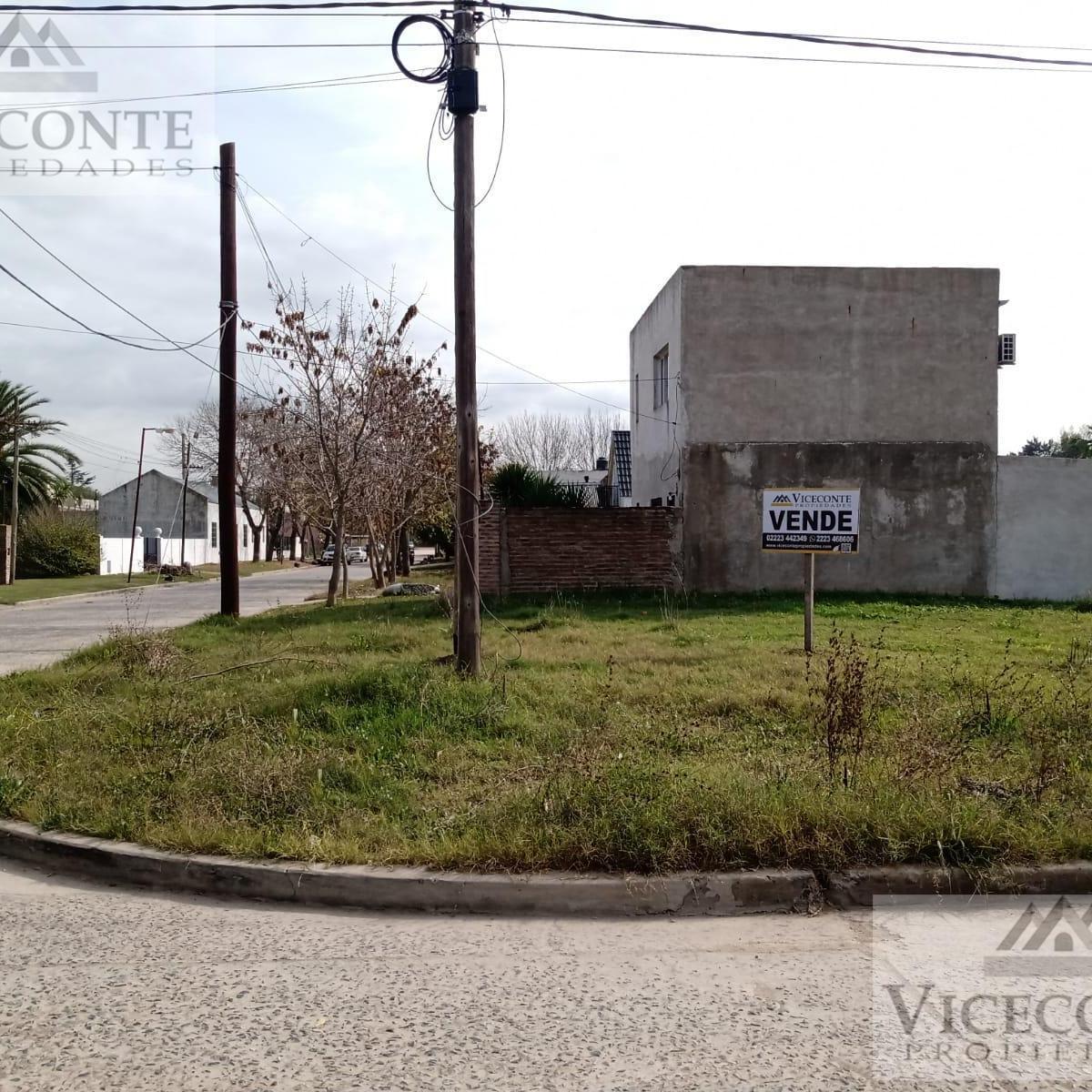 Lote 295 m² Calle Medalla Milagrosa Esquina El Trebol Barrio La Dolly, Brandsen 3