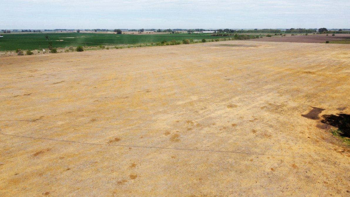 Campo 35 Has Agrícolas, Elvira, Partido de Lobos, Buenos Aires 