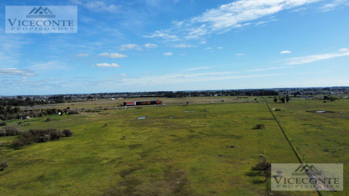 Fracción de 8,8 Ha Ruta 20. Chascomus. 1