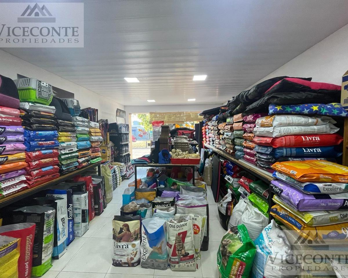 Dos Locales Nuevos y Dpto. a Reciclar, Calle Mitre, Brandsen, Buenos Aires. 3