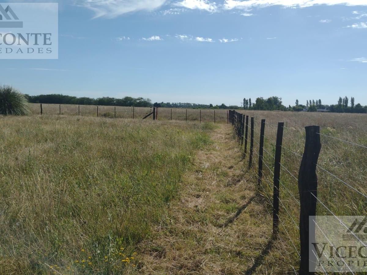 Campo 4,5 Has, Sobre Asfalto, San Miguel del Monte, Provincia de Buenos Aires. 4