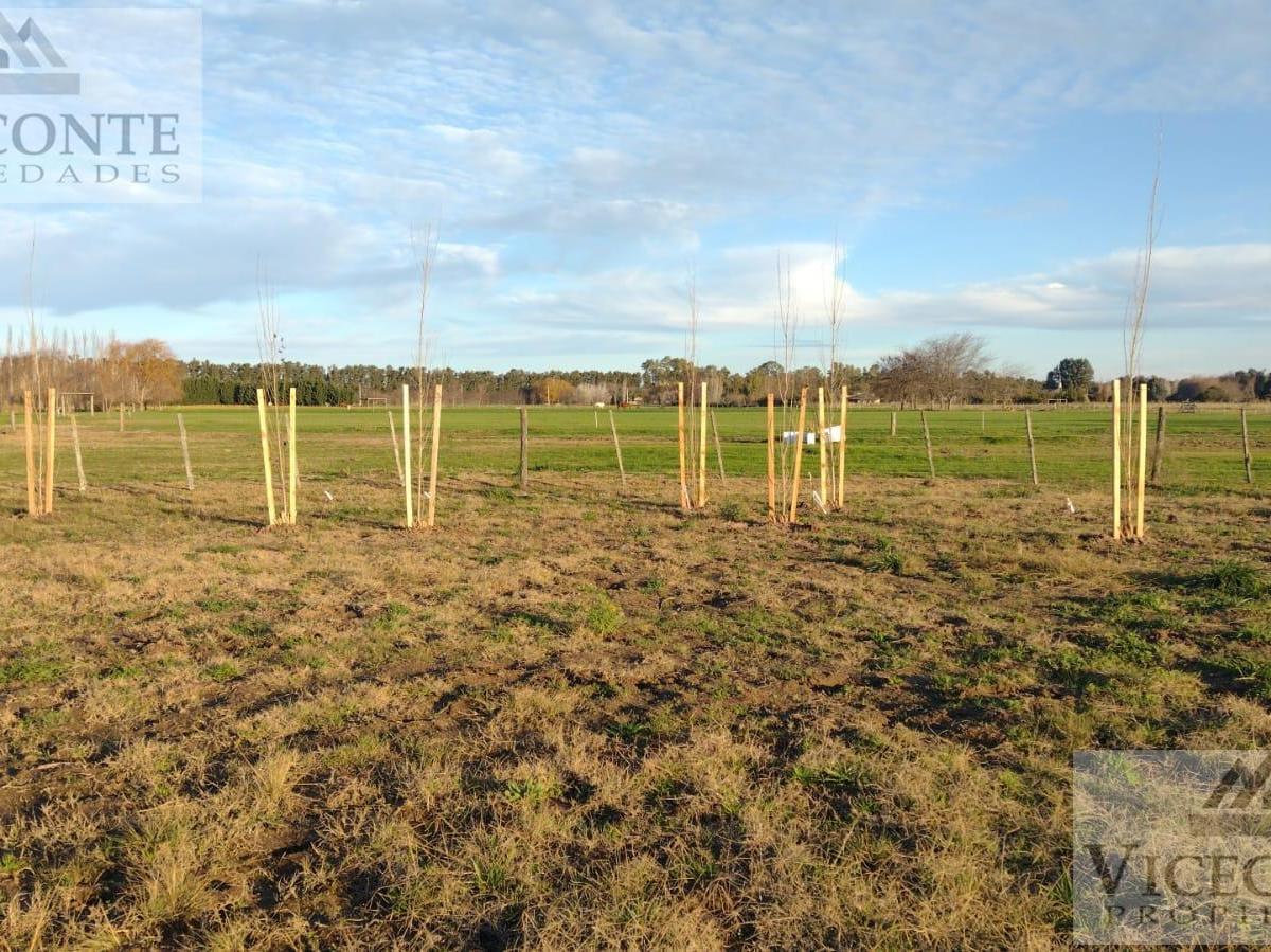 Campo 4,5 Has, Sobre Asfalto, San Miguel del Monte, Provincia de Buenos Aires. 1