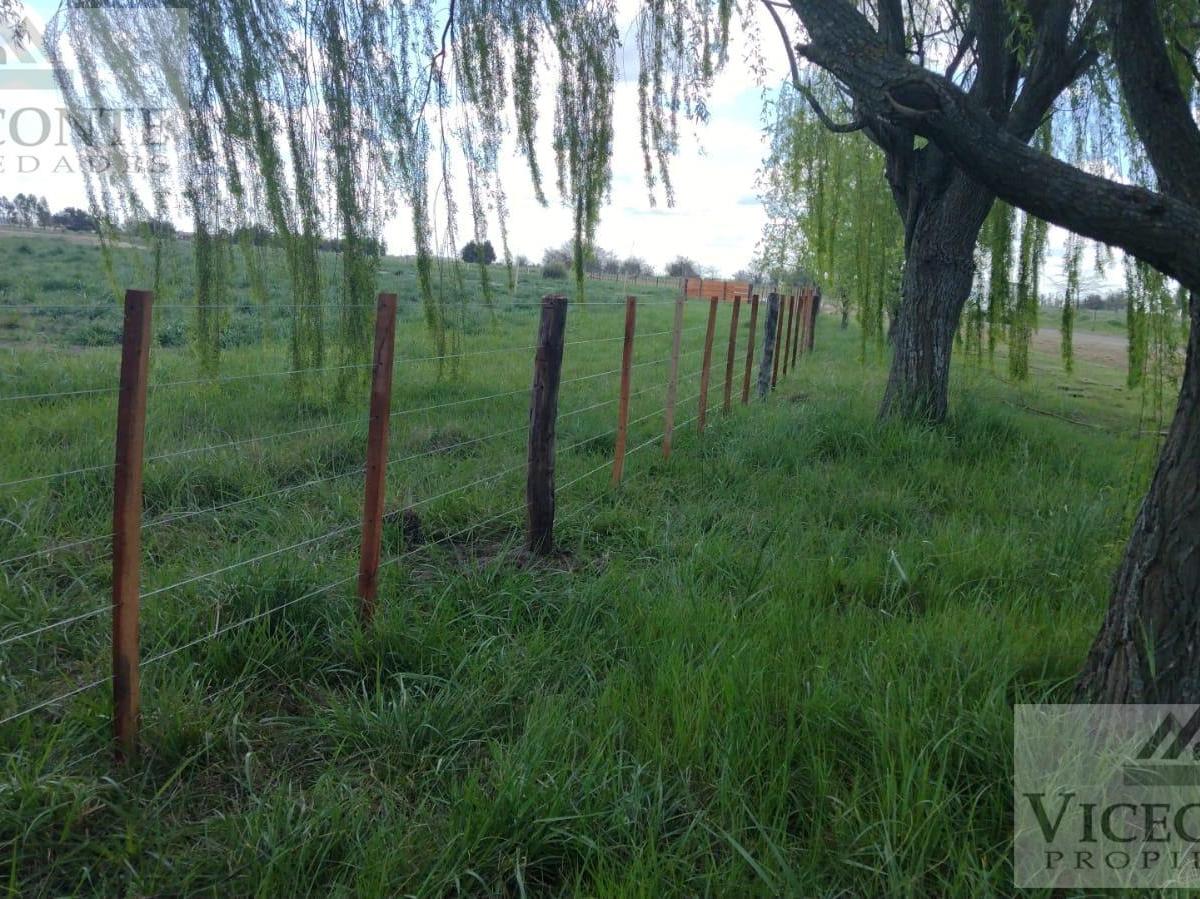 Campo 4,5 Has, Sobre Asfalto, San Miguel del Monte, Provincia de Buenos Aires. 2
