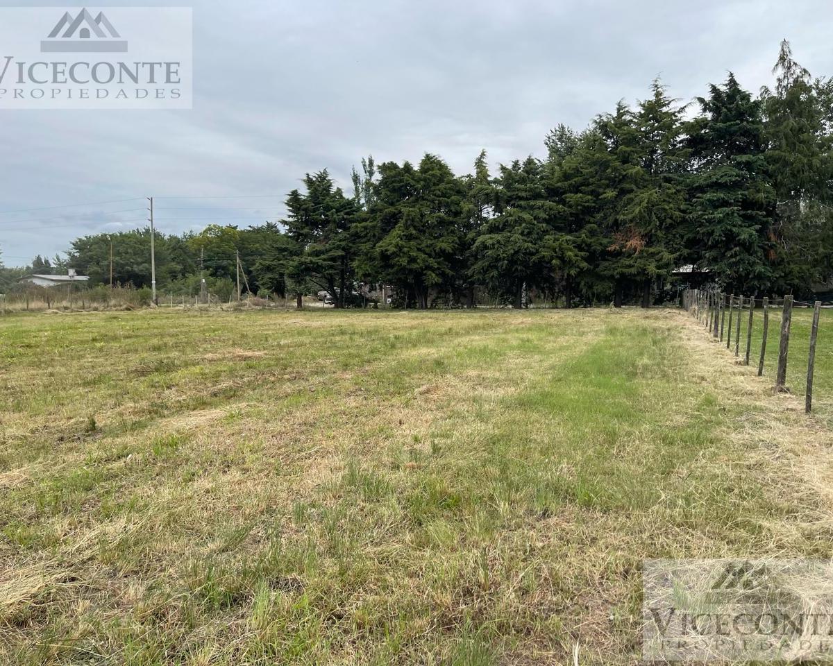 Lote 800 m², Calle Ramirez, Barrio La Dolly, Brandsen, Buenos Aires. 3