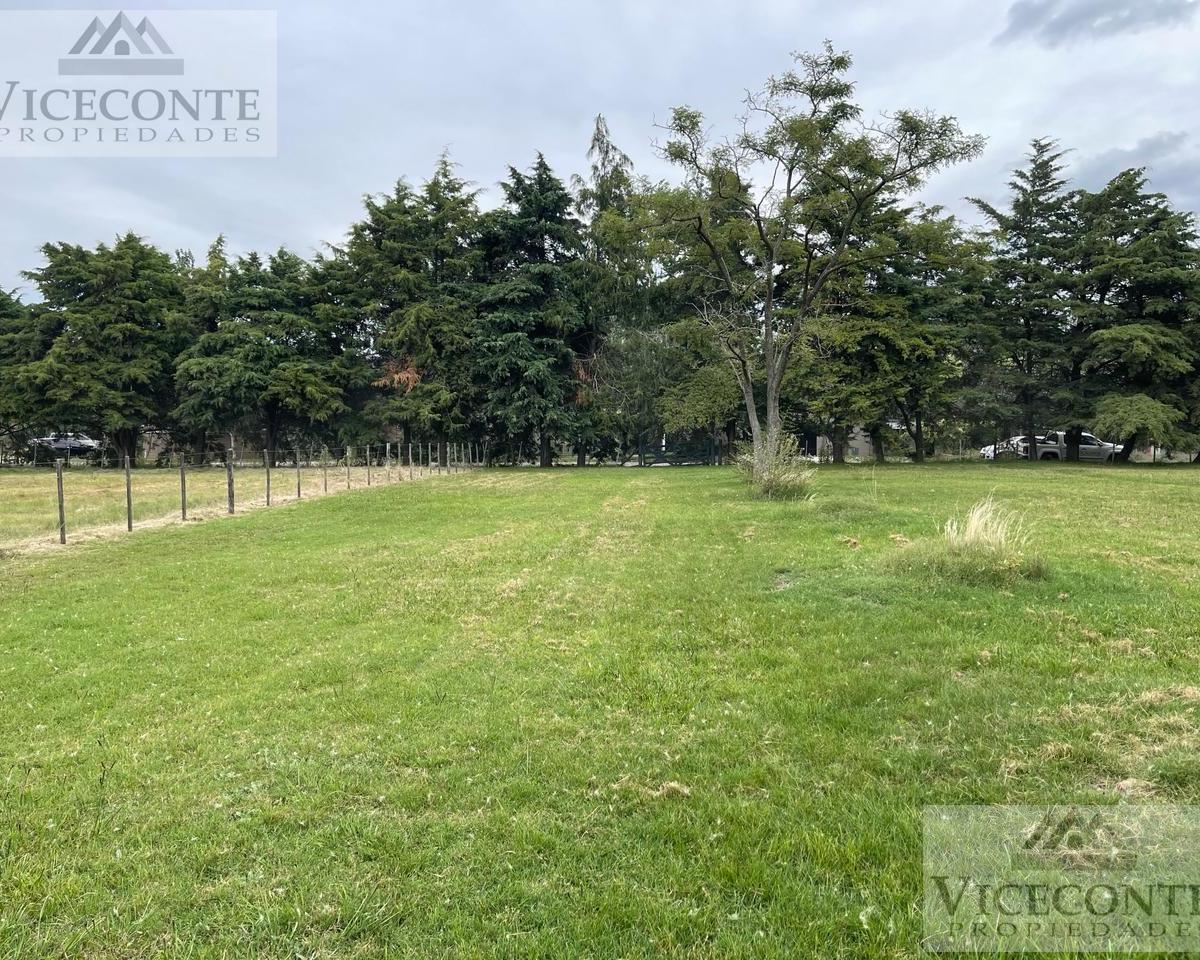 Lote 800 m², Calle Ramirez, Barrio La Dolly, Brandsen, Buenos Aires. 1