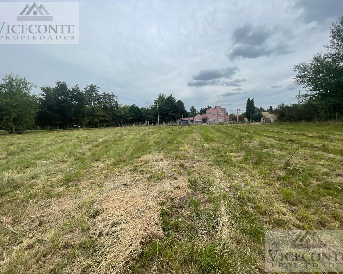 Lote 700 m², Calle Ramirez, Barrio La Dolly, Brandsen, Buenos Aires. 1