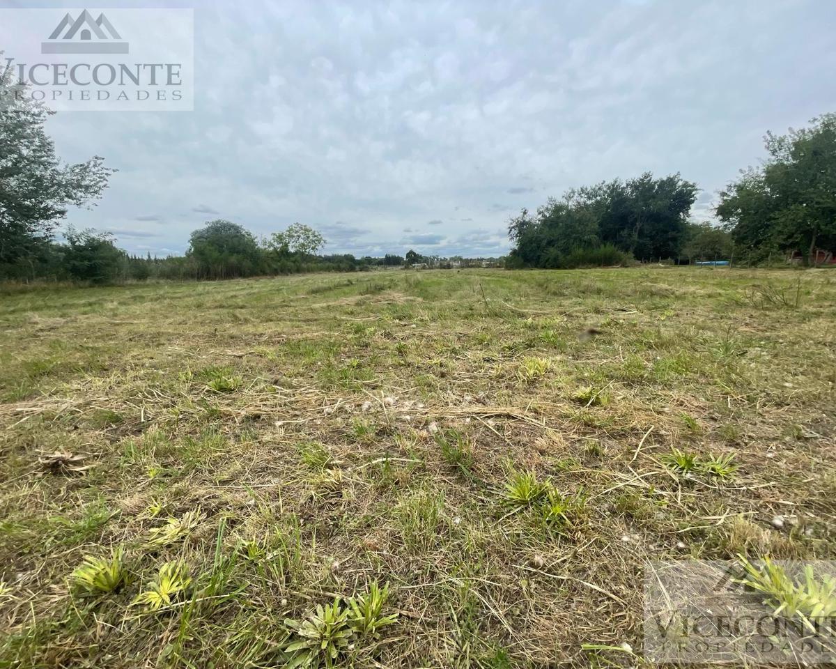 Lote 700 m², Calle Ramirez, Barrio La Dolly, Brandsen, Buenos Aires. 2