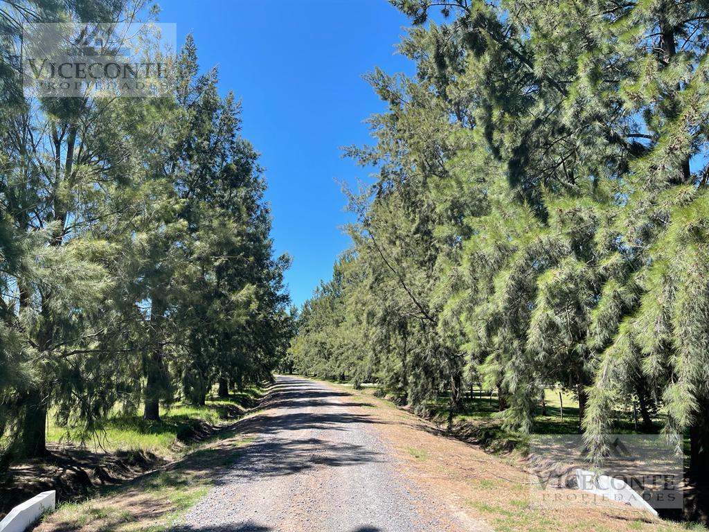 Lote 2043 m² Barrio Malvinas. Brandsen, Buenos Aires. 1
