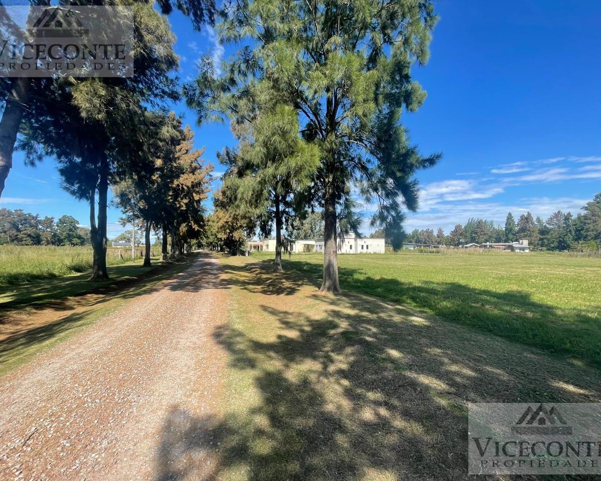 Lote 3518 m² Barrio Malvinas. Brandsen, Buenos Aires. 4