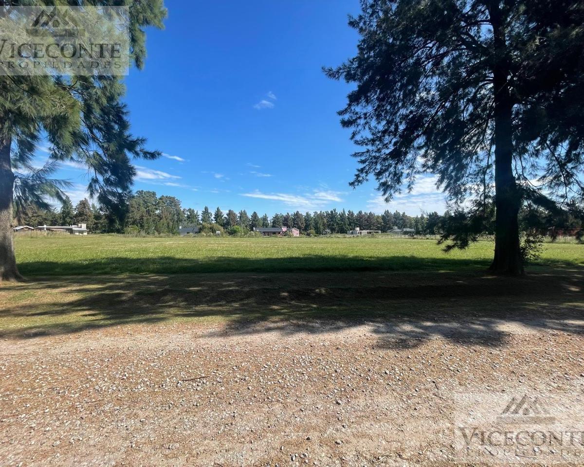 Lote 3518 m² Barrio Malvinas. Brandsen, Buenos Aires. 1