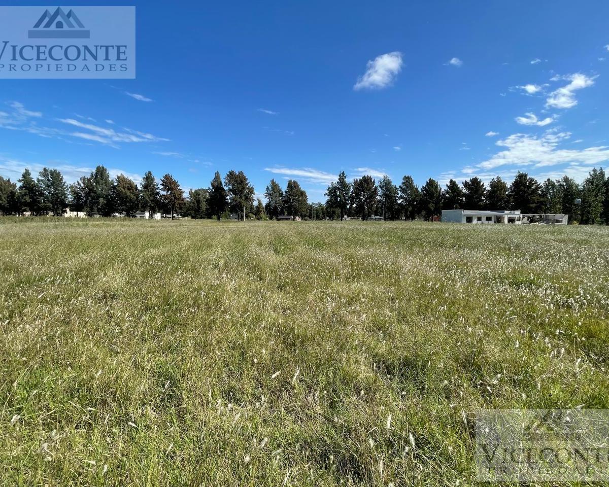Lote 2099 m² Barrio Malvinas. Brandsen, Buenos Aires. 3