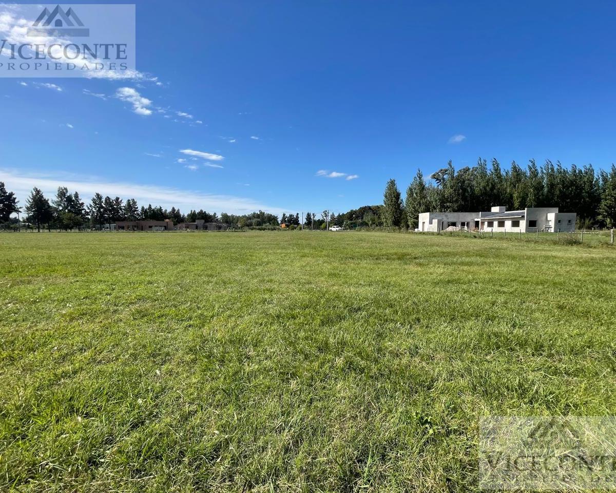 Lote 2729 m² Barrio Malvinas. Brandsen, Buenos Aires. 3