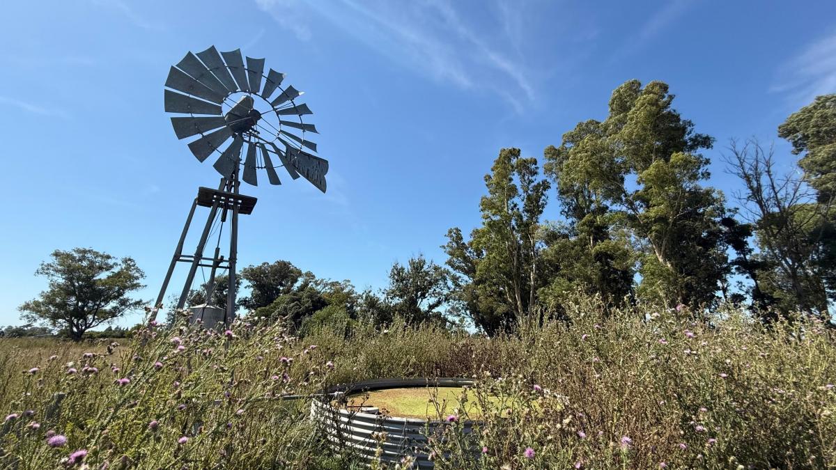 35,4 Ha 3 Km del Asfalto, Ranchos, General Paz. 4