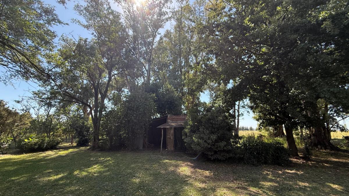 35,4 Ha 3 Km del Asfalto, Ranchos, General Paz. 1